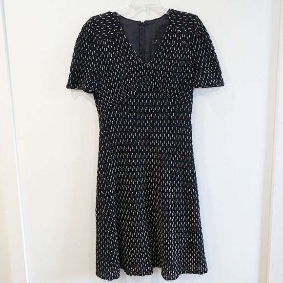 Anthropologie Dresses & Skirts - ANNA SUI Black & Tan Anthropologie A-Line Dress 6